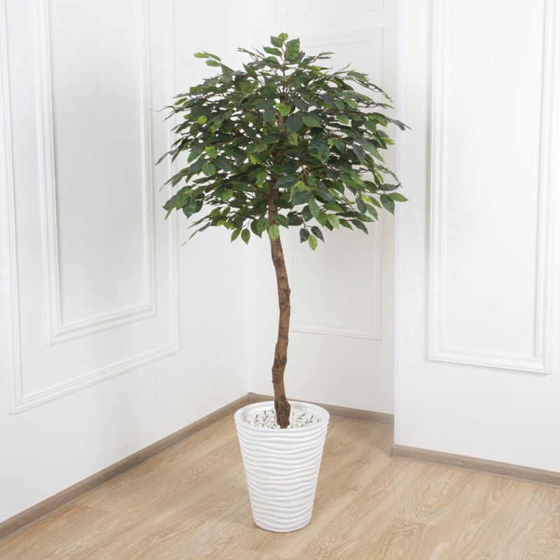 160/34 Фикус искусственный(латекс) h160см_3