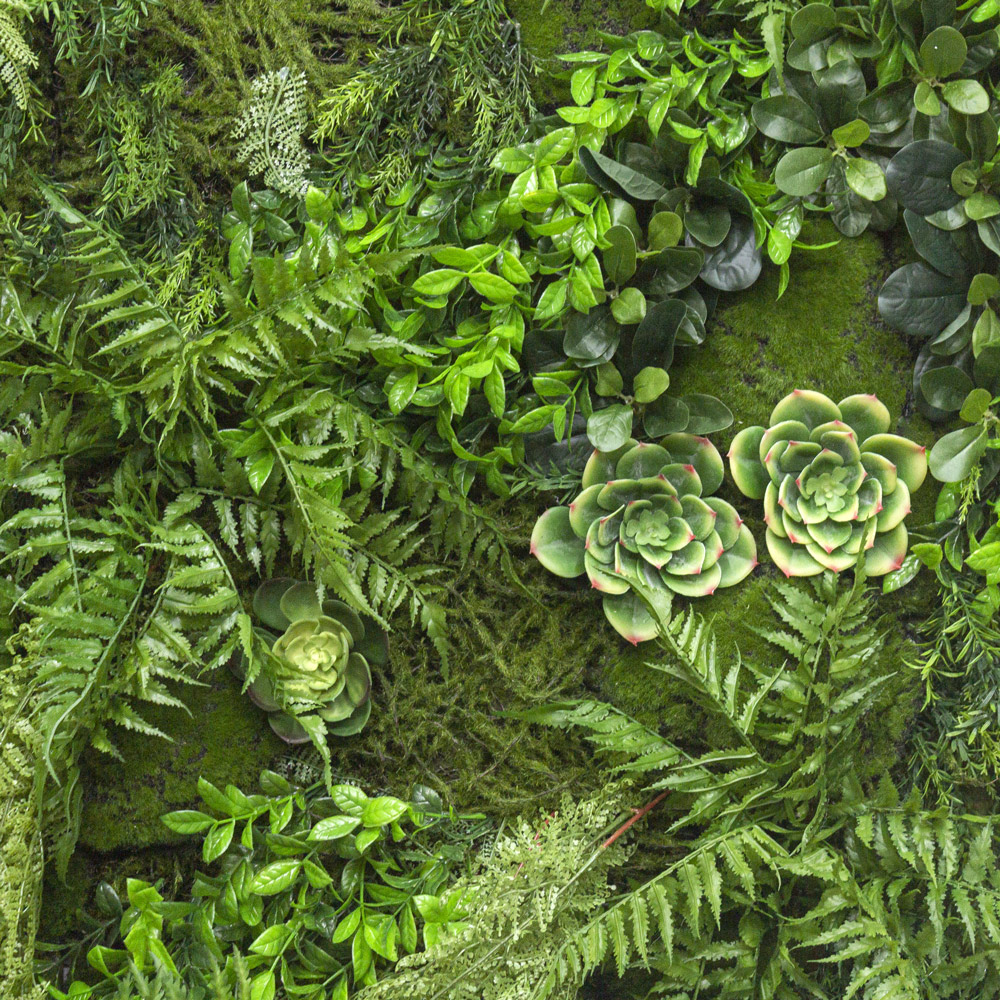 Фитостена 110_5