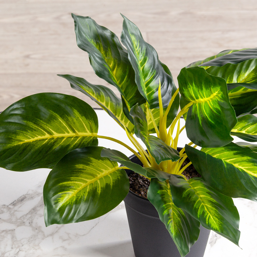 К86(з)(F) Маранта искусственная куст в кашпо d11см_1