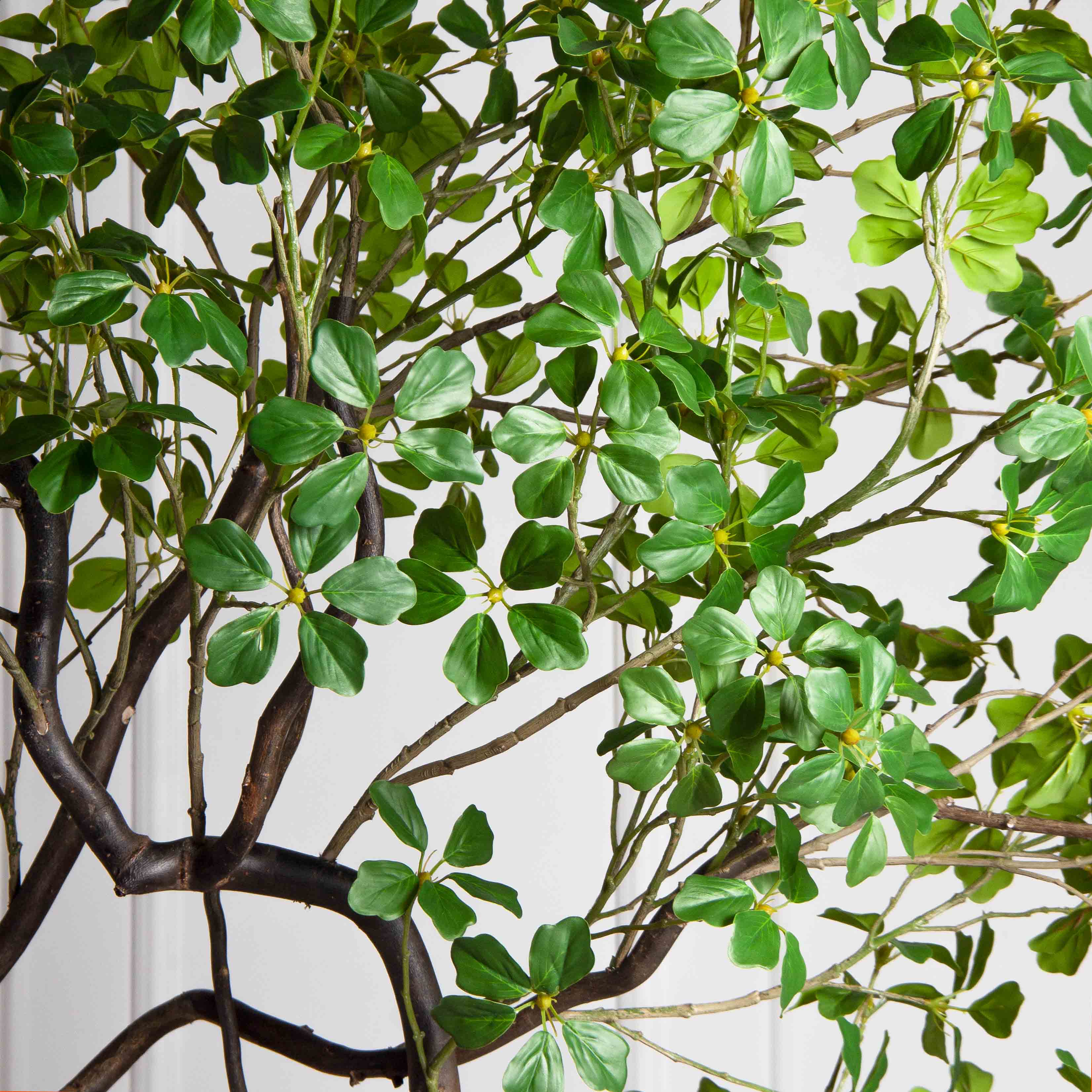 220/ВИТ/АСС/534(Пр)(F) Шеффлера искусственная Компакта  h220см_5