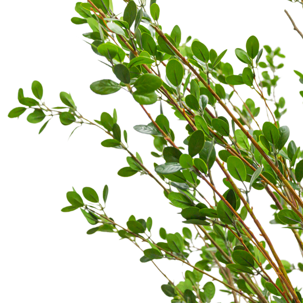 300/РН/172-2(з.) Дерево искусственное с распускающимися листочками h300см, d250см(латекс) _1