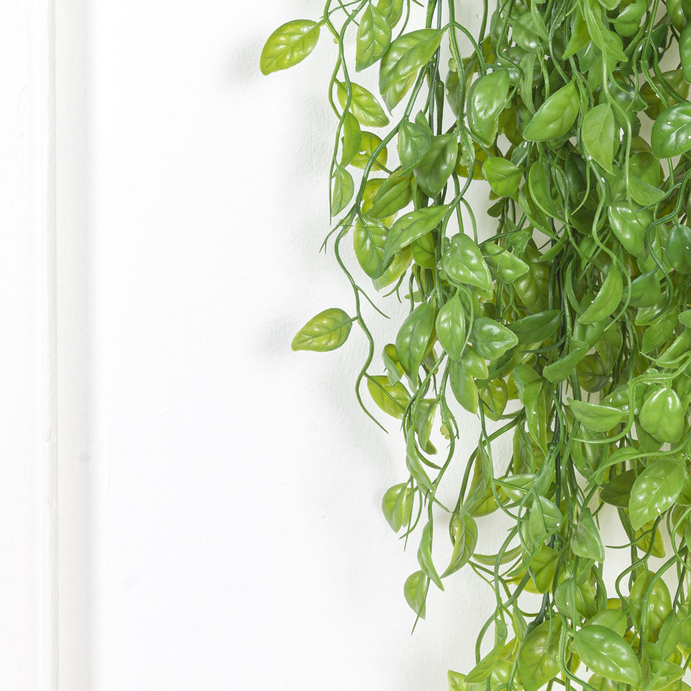 КС95 Традесканция Веридос ампельная в кашпо_7