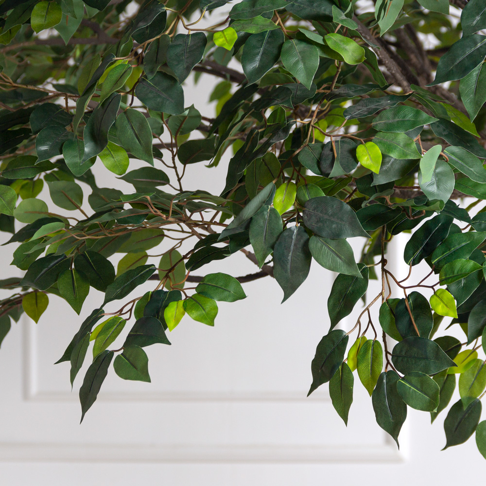 310МЕТст/разб/АСС/34(F) Фикус искусственный ассимитричный h310см, разборный_2