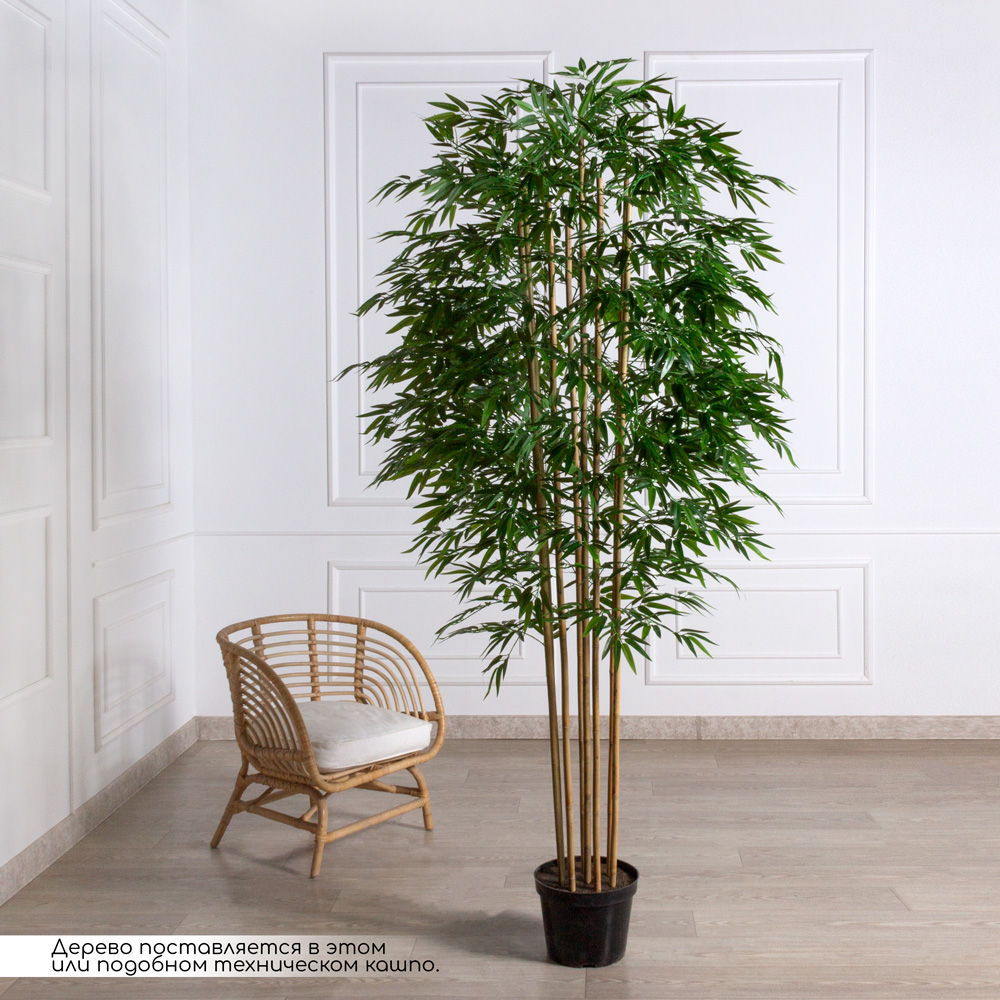 240/75/1(з)(F) Бамбук искусственный 8 стволов, h240см (латекс)_1