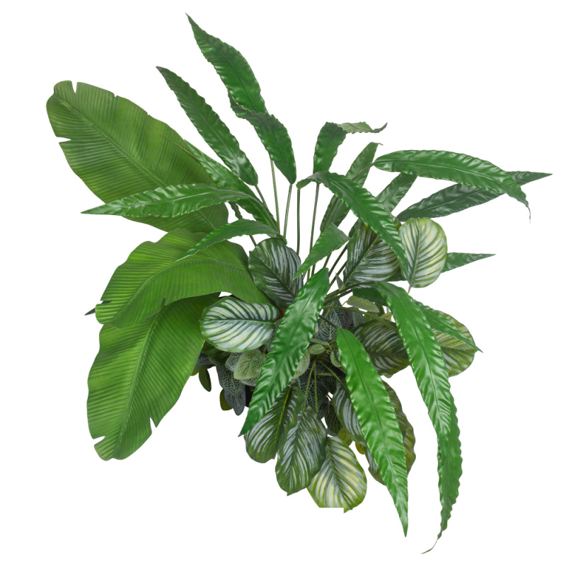 БК 38 Композиция с филодендроном и фиттонией на блоке 15*h10