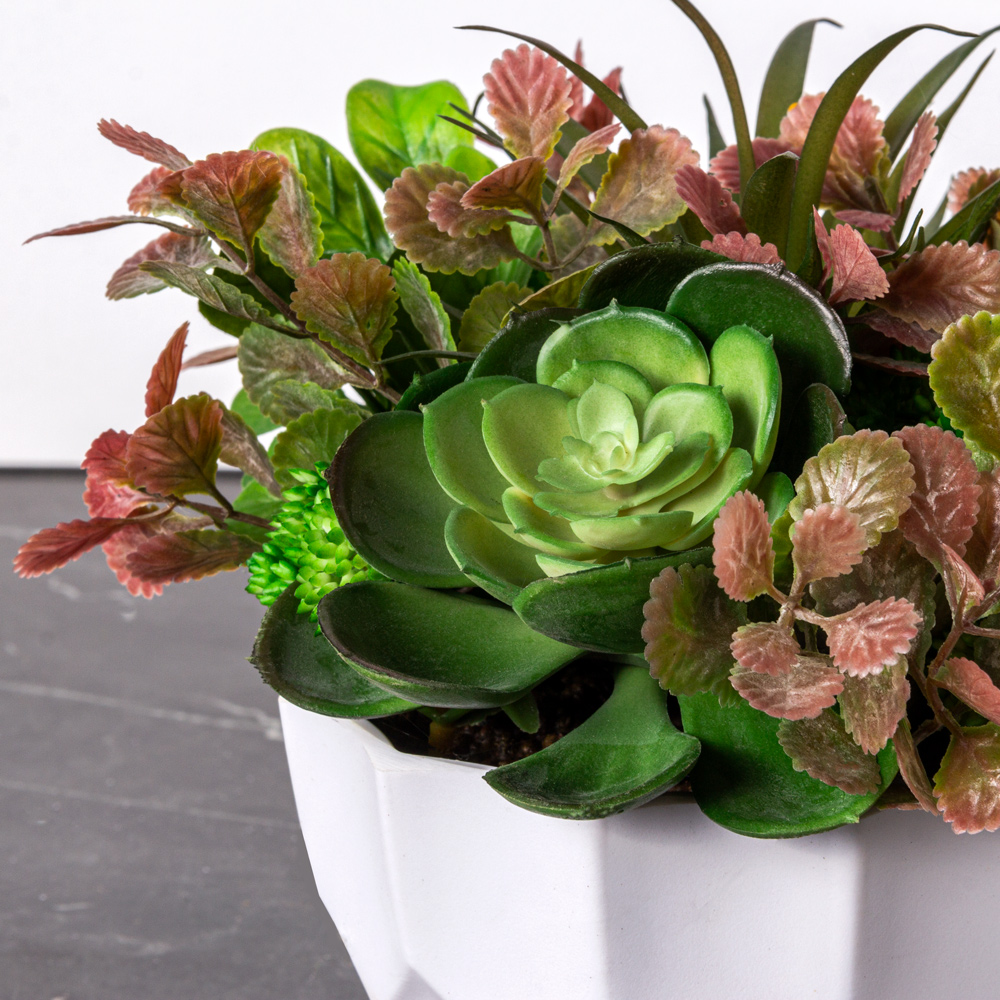 СКК06 Композиция из суккулентов h16см в интерьерном кашпо(зеленая)_1