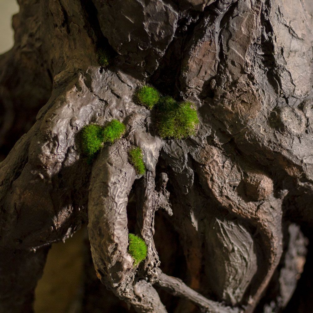 320разб/кор/224 Сосна h-320см (крона: шир.-200;h-135см)_5