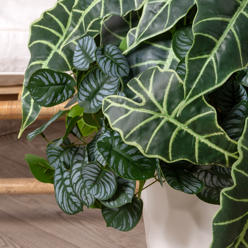 К451(з) Композиция искусственная с Алоказией Поли в интерьерном кашпо_2