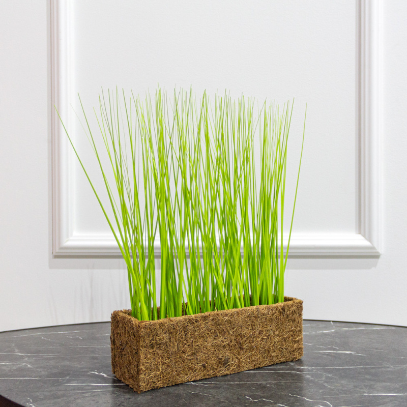 ТД0200(Promo) Трава искусственная Осока h28см в кокосовом боксе 25х8х8см_7
