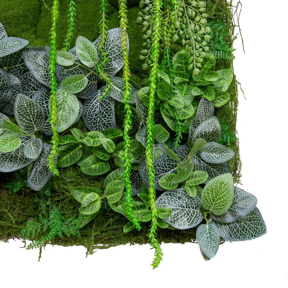 Фитокартина 82/1(з) в белой крашенной раме (1м*1м)_7