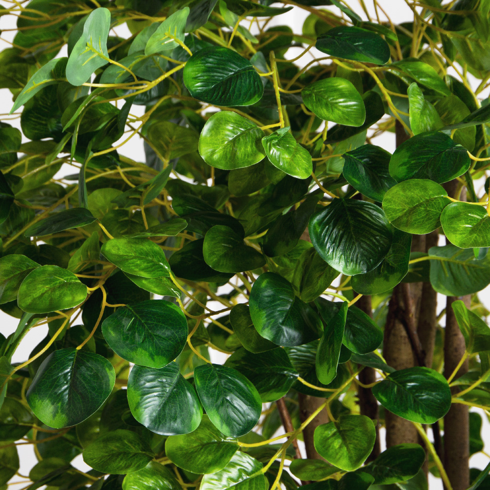 180/РН/709(FixS)(Пр)(F)Фикус Панда искусственный h180см_4