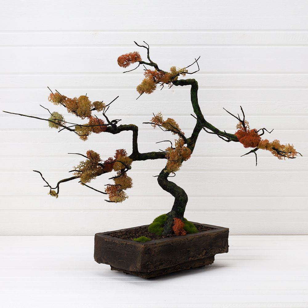 БМ 40/31(з.) Бонсай со мхом h-40см;L-50см_2