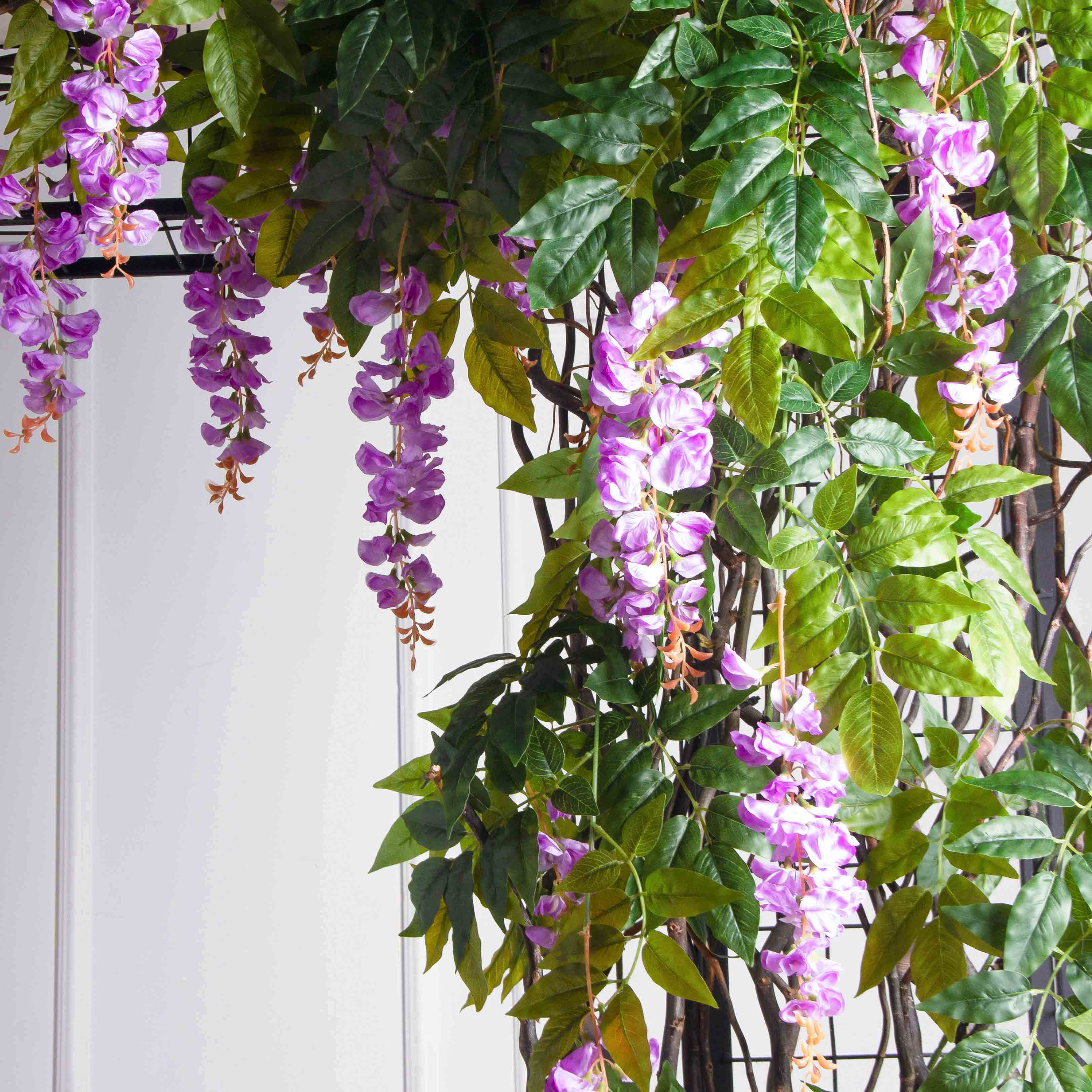 ДЛ163(Пр)(Fix)(F) Декор входной группы с глицинией h270см_5