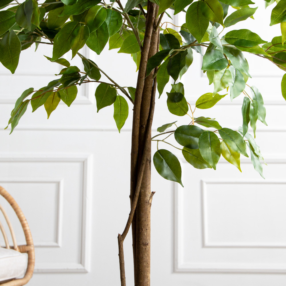 180/РН/ЭК/345(Пр)(F) Фикус искусственный h180см,(латекс)_4