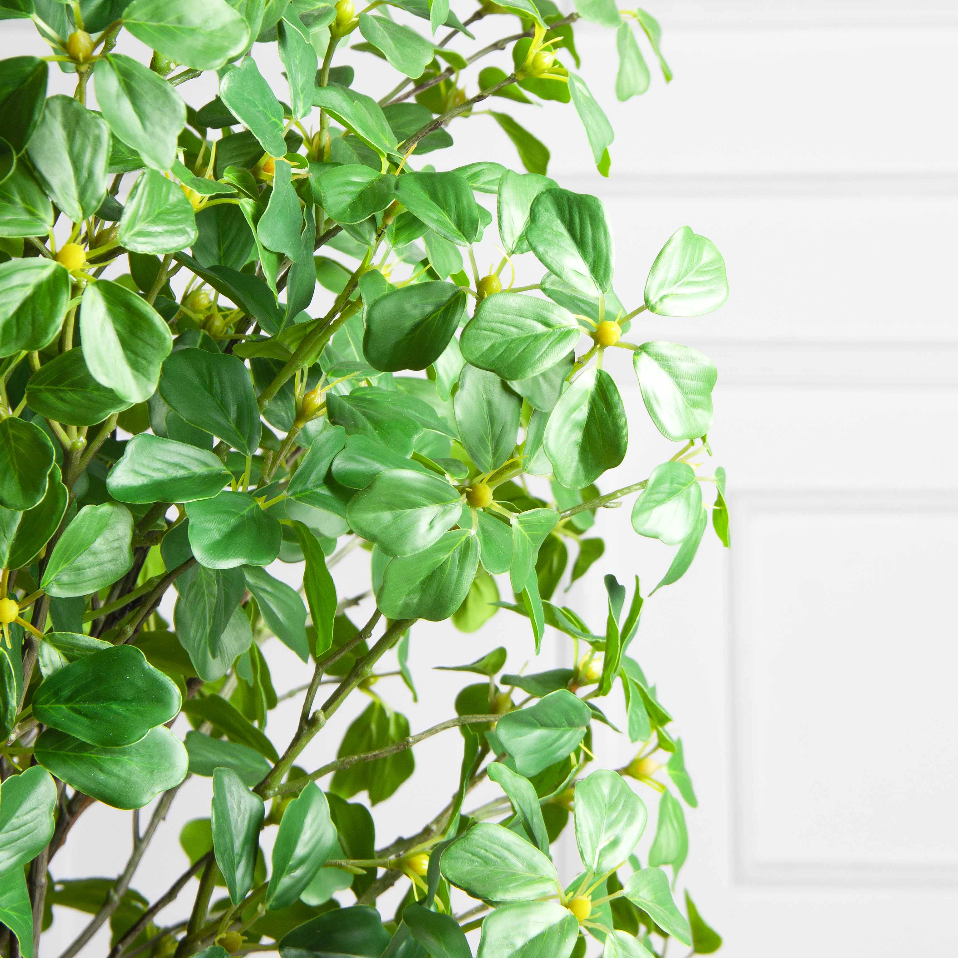 110/ВИТ/ФОН/534(з)(Пр)(F) Шеффлера искусственная Компакта  h110см, латекс_3