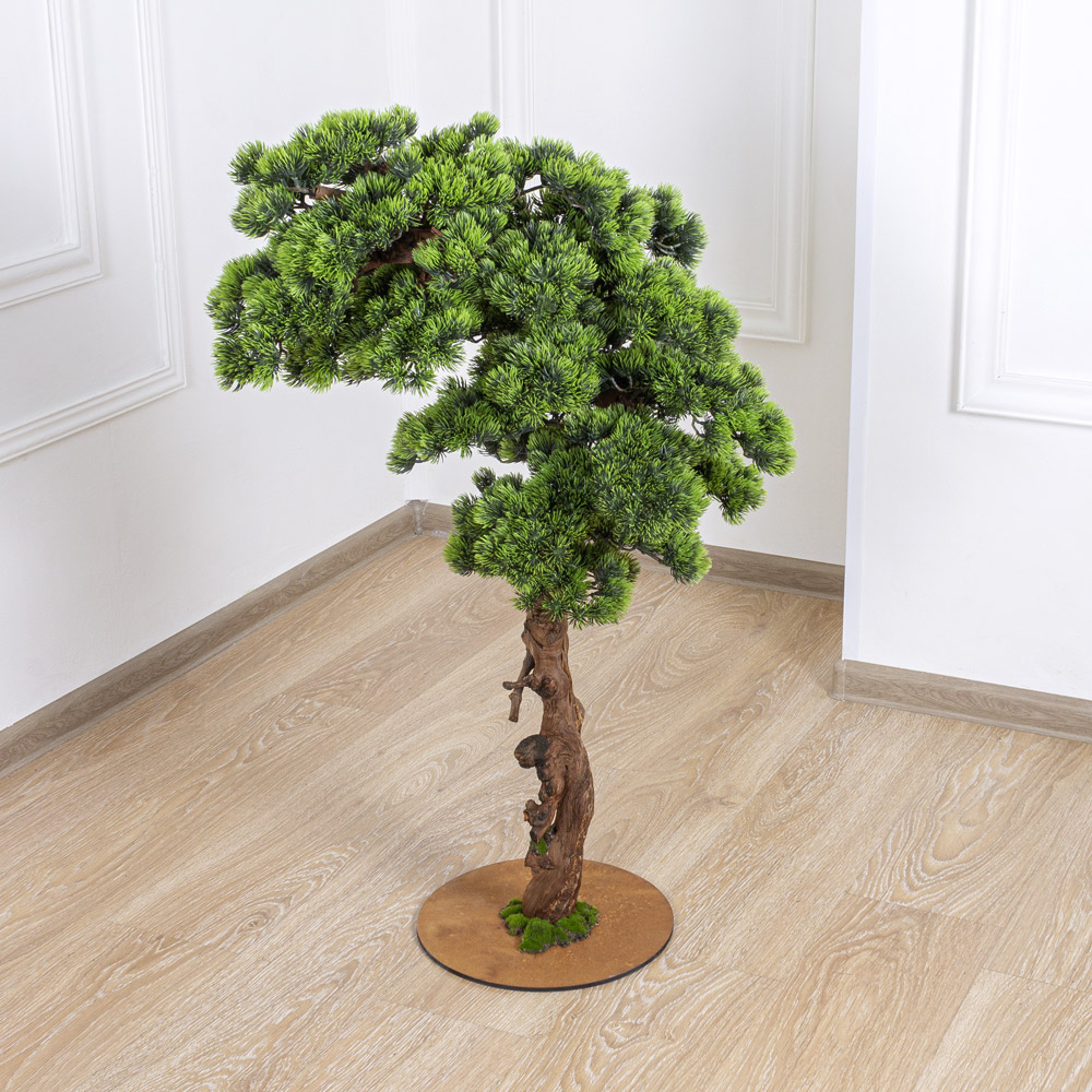 БС100/ОС/30-1(з.) Бонсай Сосна h100см на основании _6