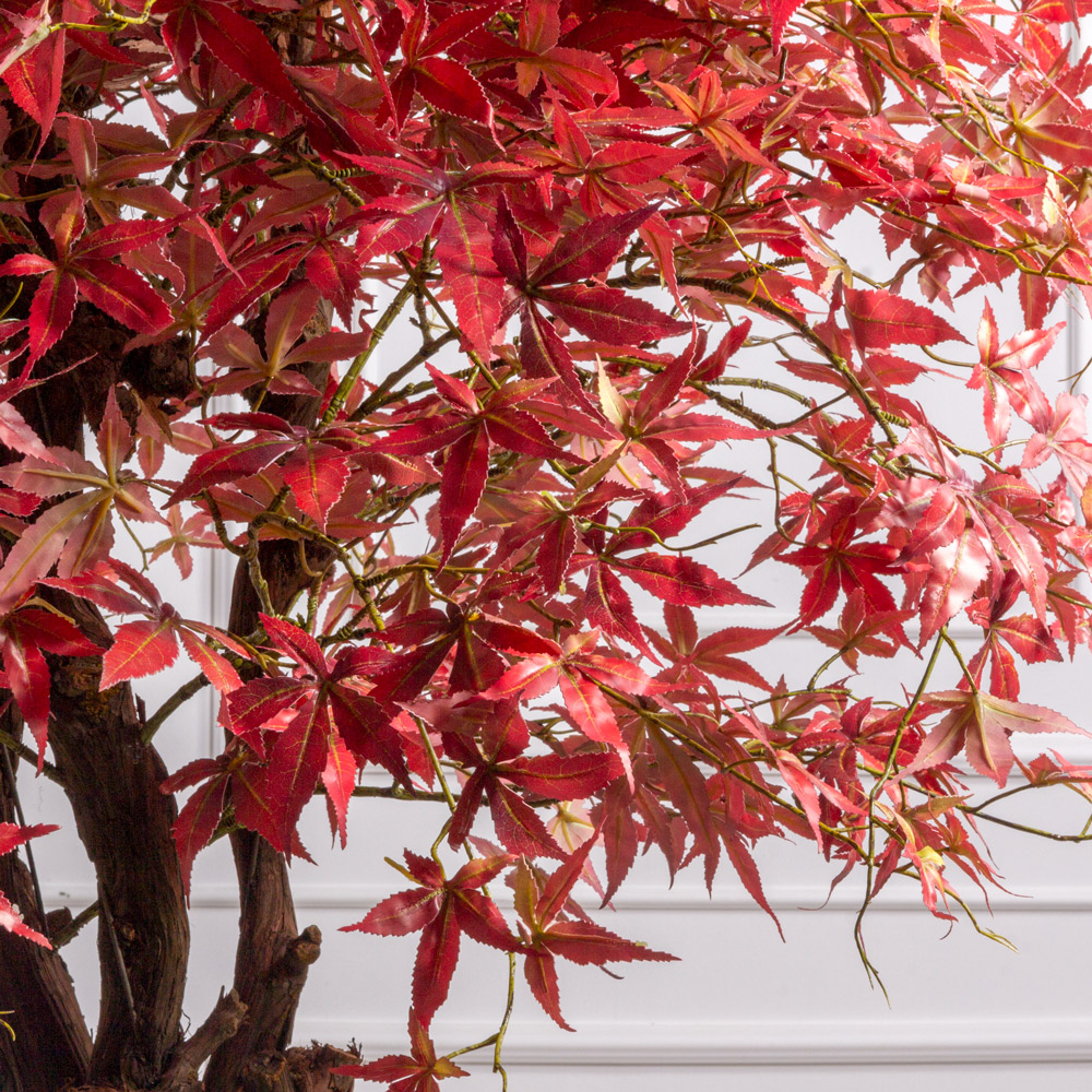 250/ОС/530(з/УУ)(Пр)(F) Клен искусственный японский h250см, красный _2