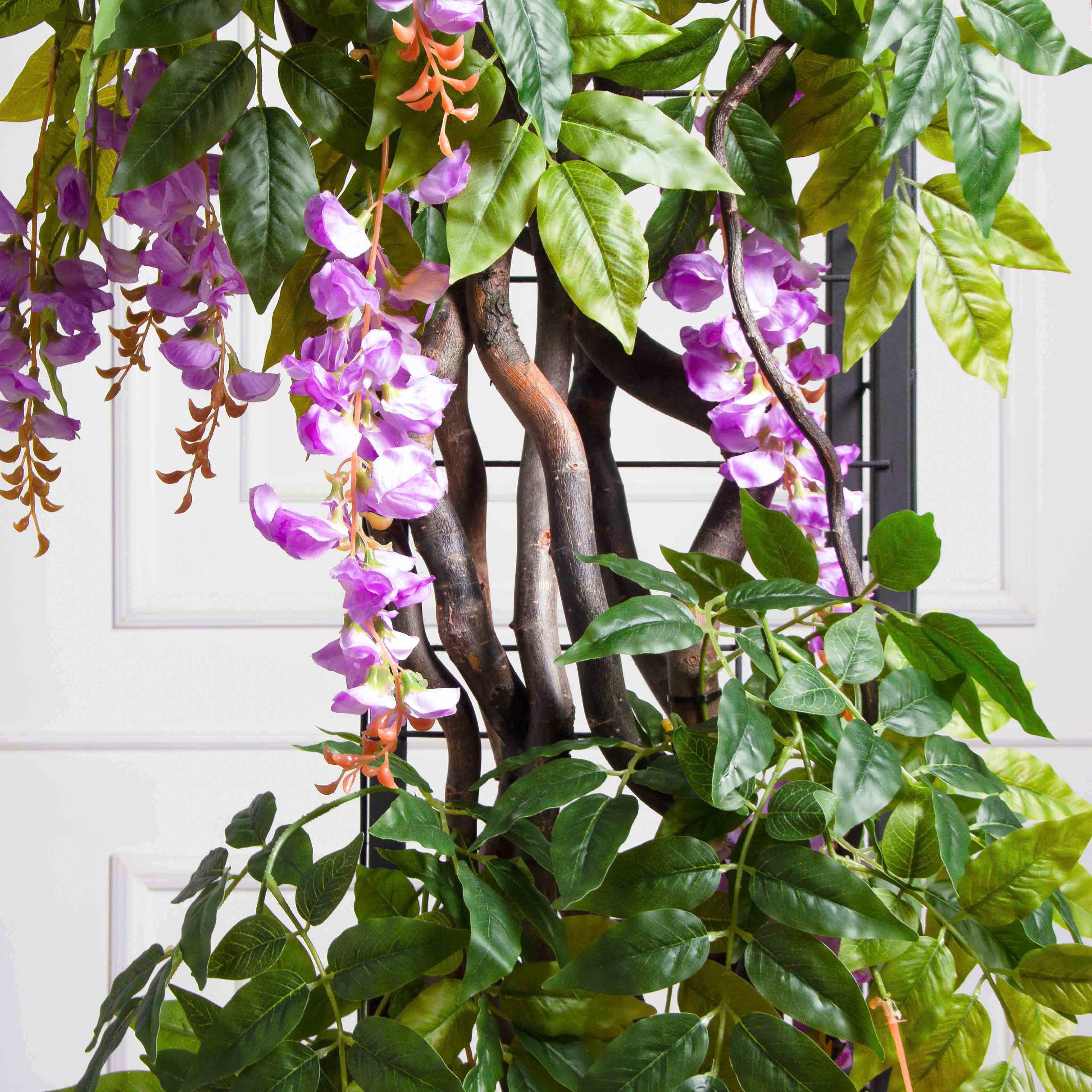 ДЛ163(Пр)(Fix)(F) Декор входной группы с глицинией h270см_7