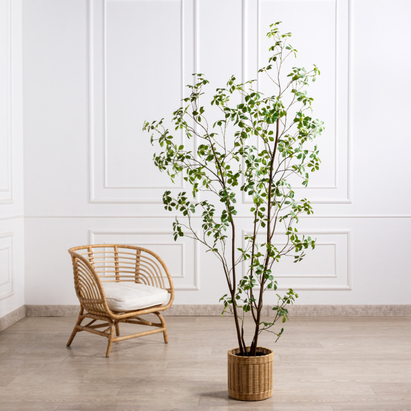 210/РН/ОК/534(Пр)(F) Шефлера Компакта искусственная h210см