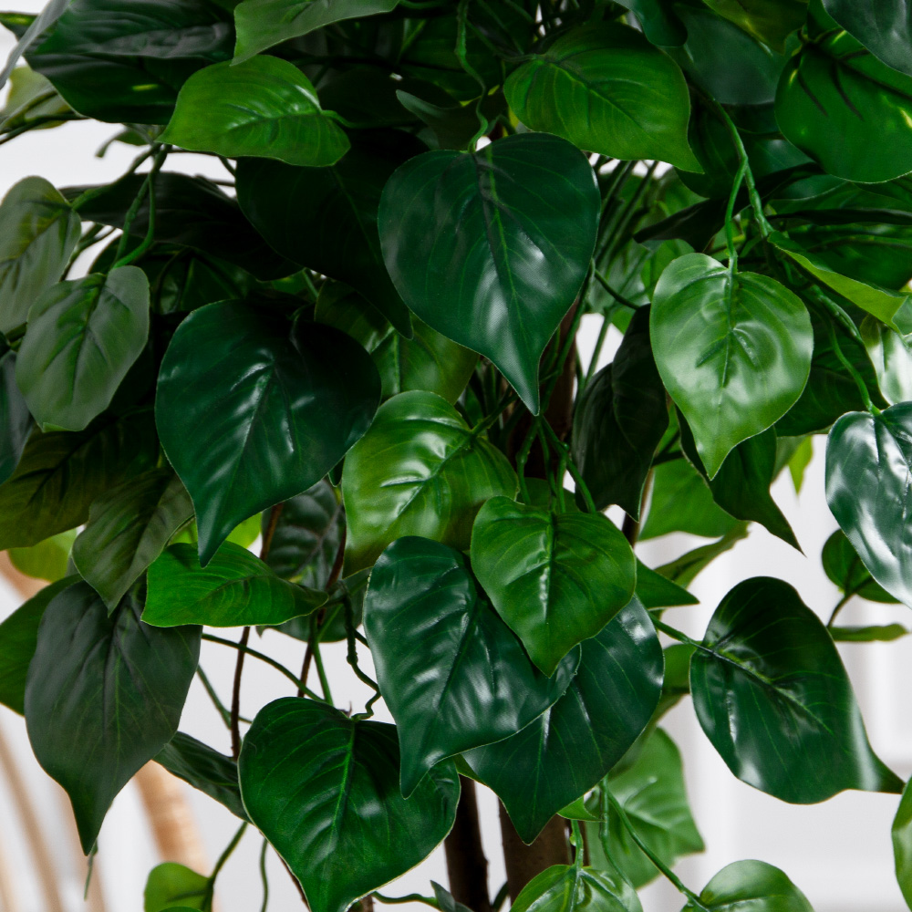 075/РН/705(FixS)(Пр)(F) Дерево искусственное лиственное h75см_3