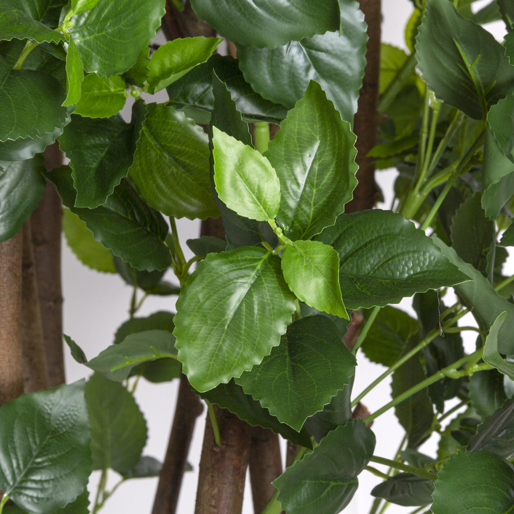 240/К/458(з) Колеус искусственный куст h240см, зеленый_4