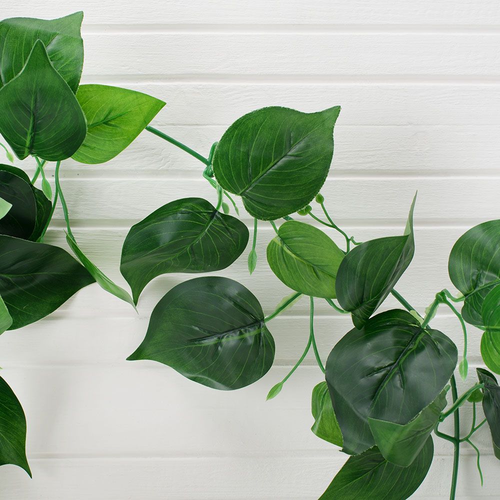 7144/0228-9Р Лиана сциндапсус (крупный лист) h-200см_2