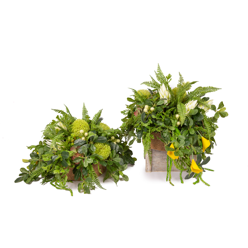 К08/2-1(з.) Композиция цветочная h30см в круглом кокосовом боксе d29;h10_6