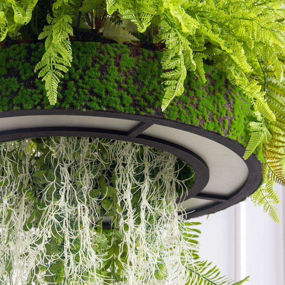 КЗ/27(Пр)(F) Композиция с ампельными растениями на декорированной основе d58см_7