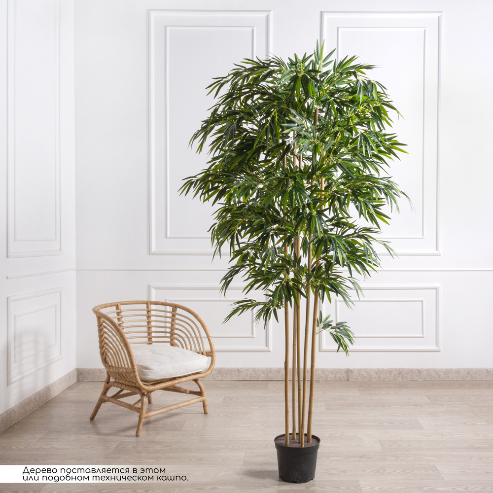 200/75/1-1(F) Бамбук искусственный 5 стволов, h200см (латекс премиум)_1