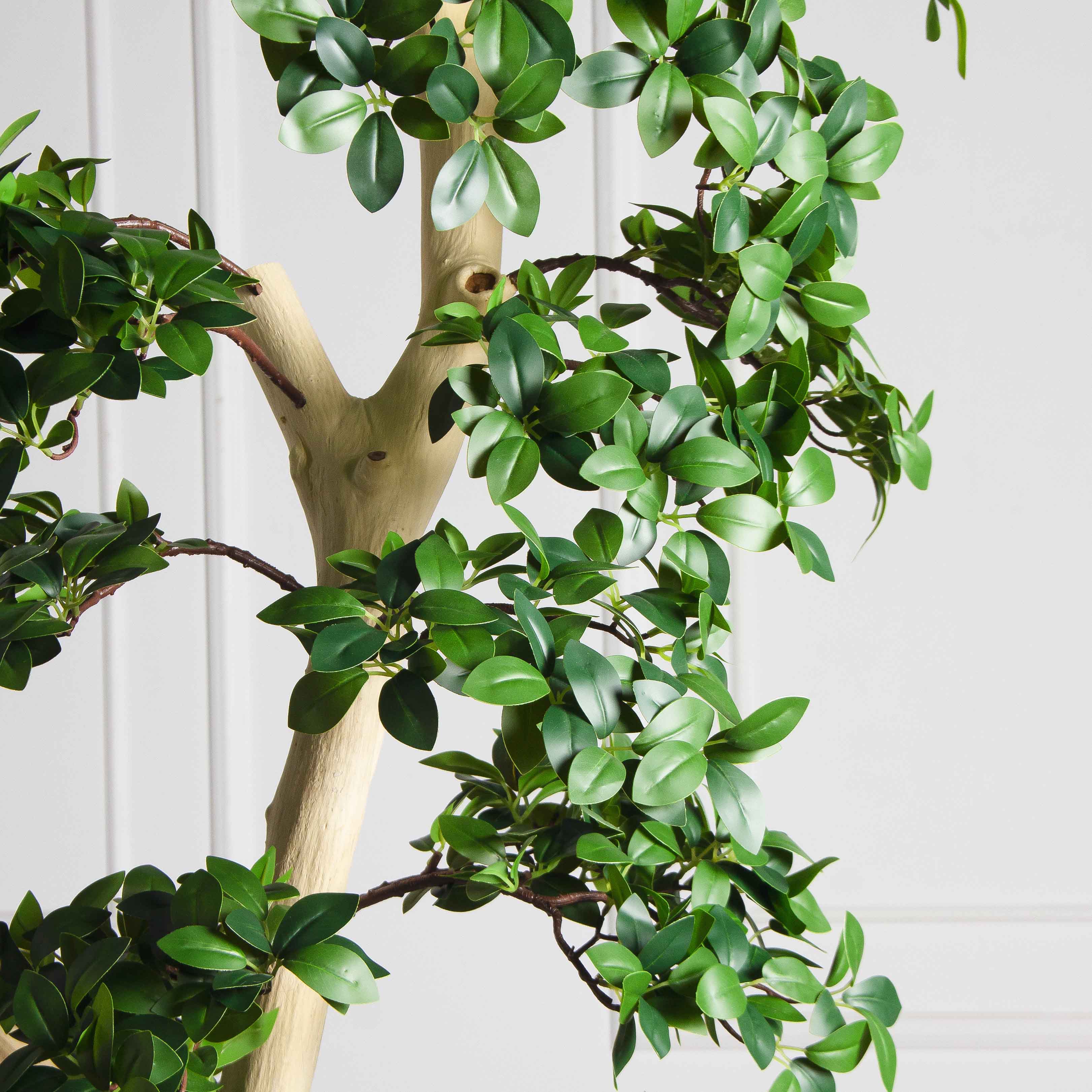 БЛ240Пр/ДА/516(з)(F) Бонсай искусственный Фикус Микрокарпа пристенный h240см (латекс) в кашпо_4