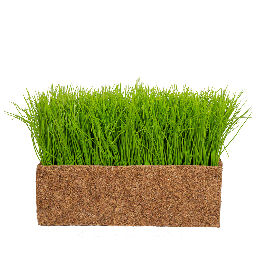 ТД058-25(з.) Трава Осока в кокосовом боксе 44*16*15_8
