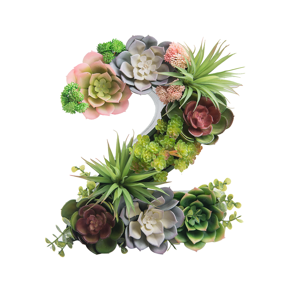 Логотип 1,2,3,4,5 с суккулентами (143*h27см)_4