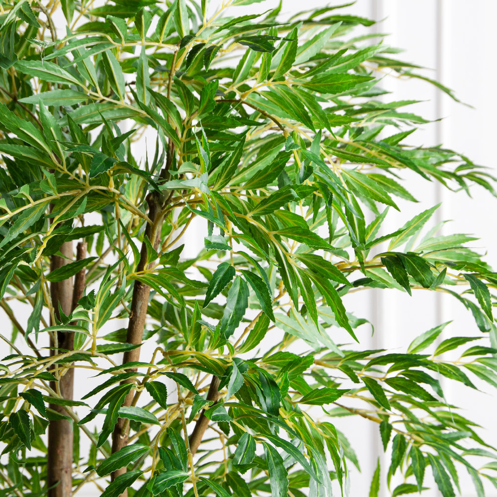 200/РН/ОК/700(Пр)(F) Магония искусственная h200см,(латекс)_4