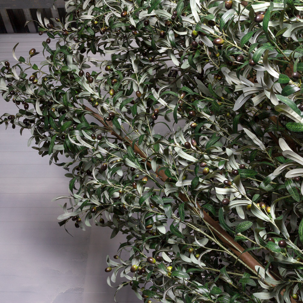 420/РН/465(з)(F) Оливковое дерево искусственное h420см_2