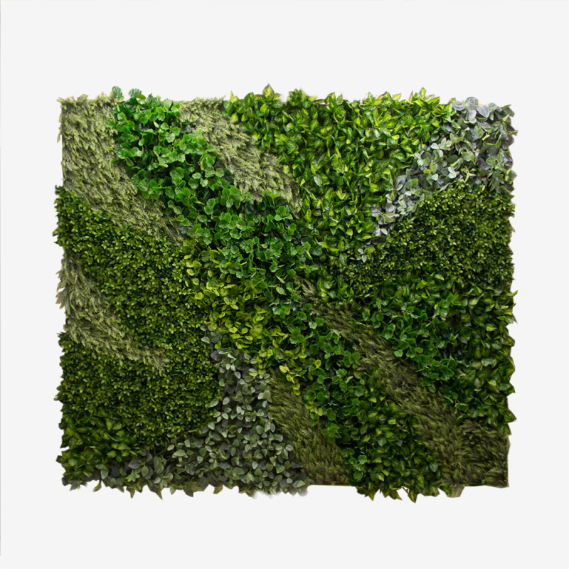 Фитостена 37(з.)