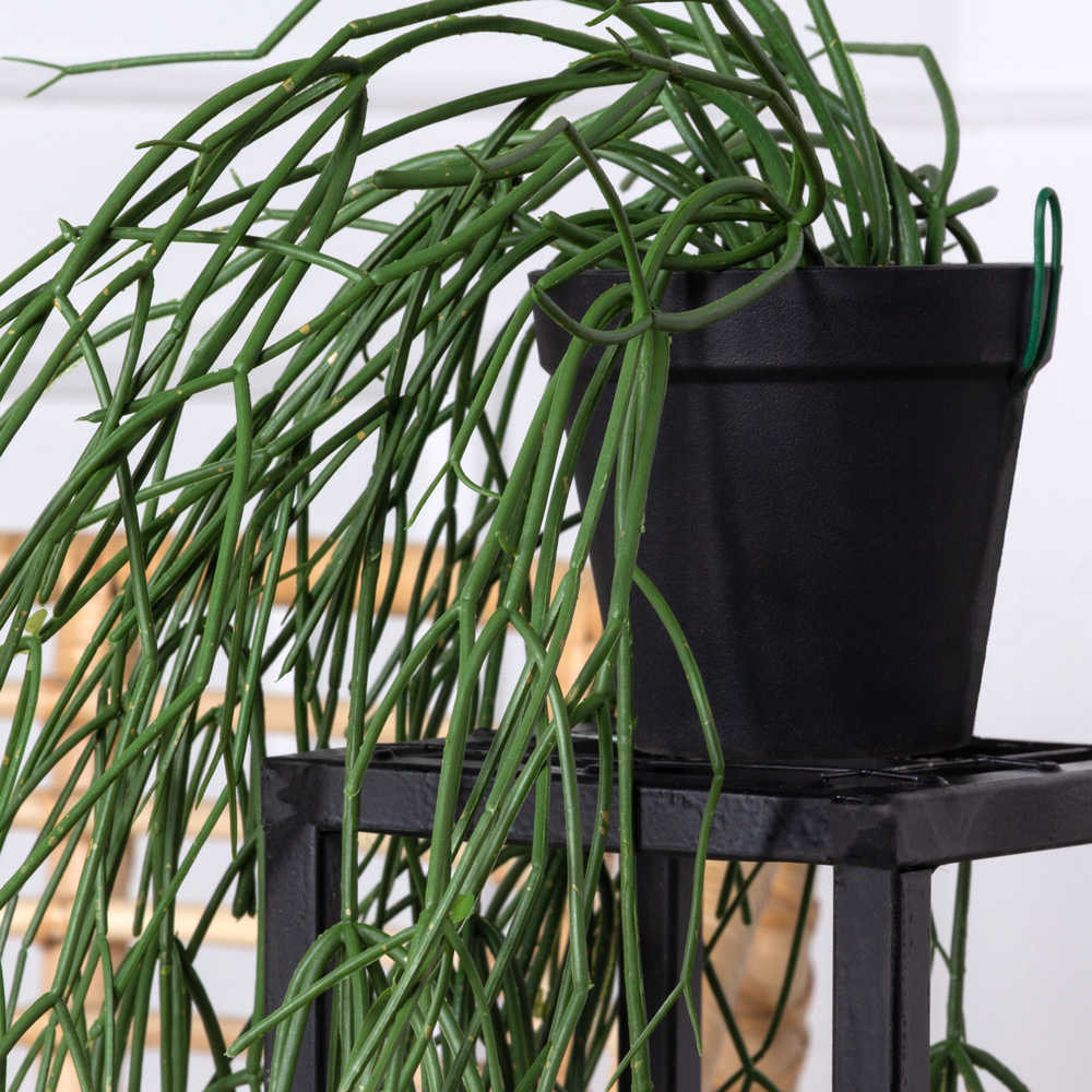 КС87 Рипсалис зеленый искусственный ампельный в кашпо_2