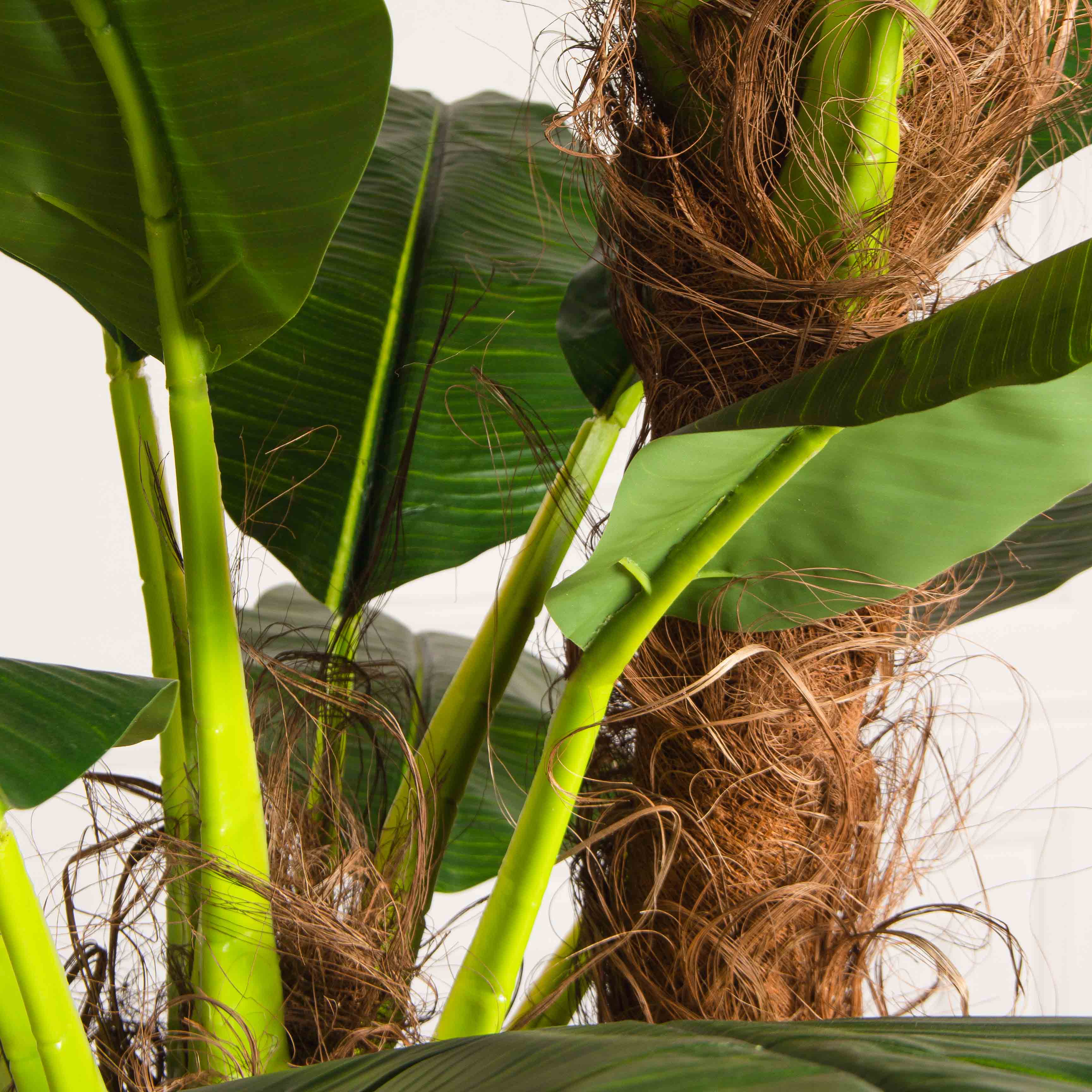 ПС250/2С/43(з)(F) Банановая пальма искусственная h250см (латекс премиум)_4