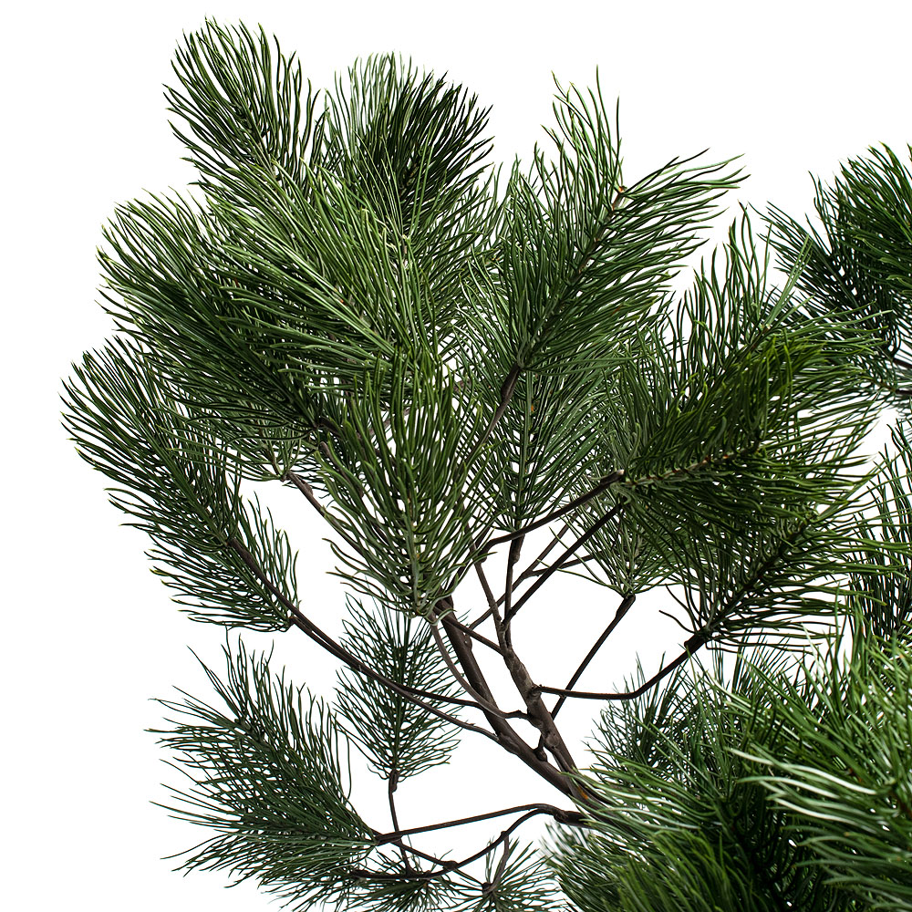 200разб/нат/224(з.) Сосна с натур.корой h-200см_4