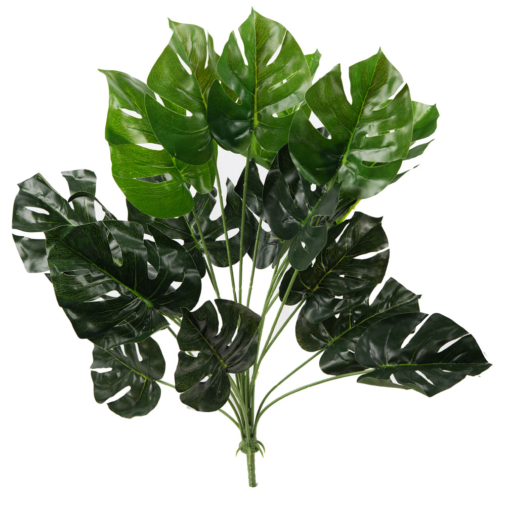 7143/0760-41/2 Куст монстеры большой*18в h60см_1