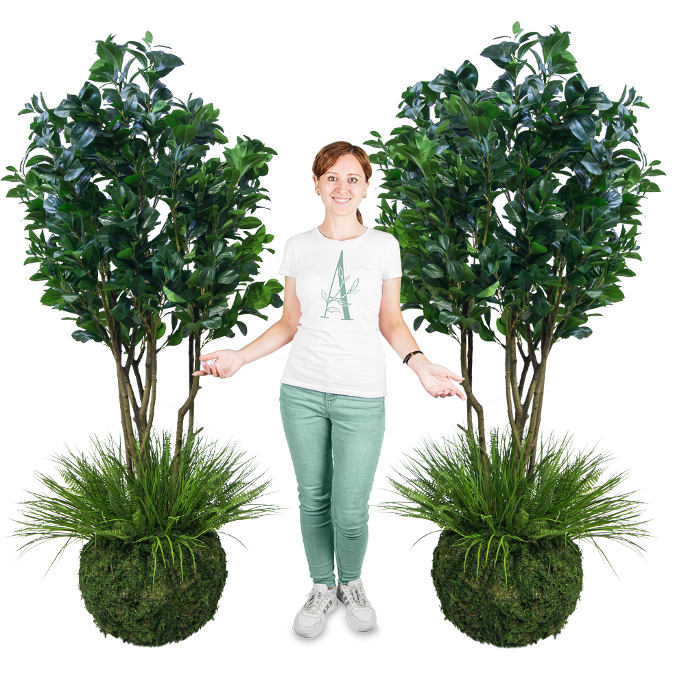 ККДД180/64(з.) Кокедама d40см Рускус h180см_3