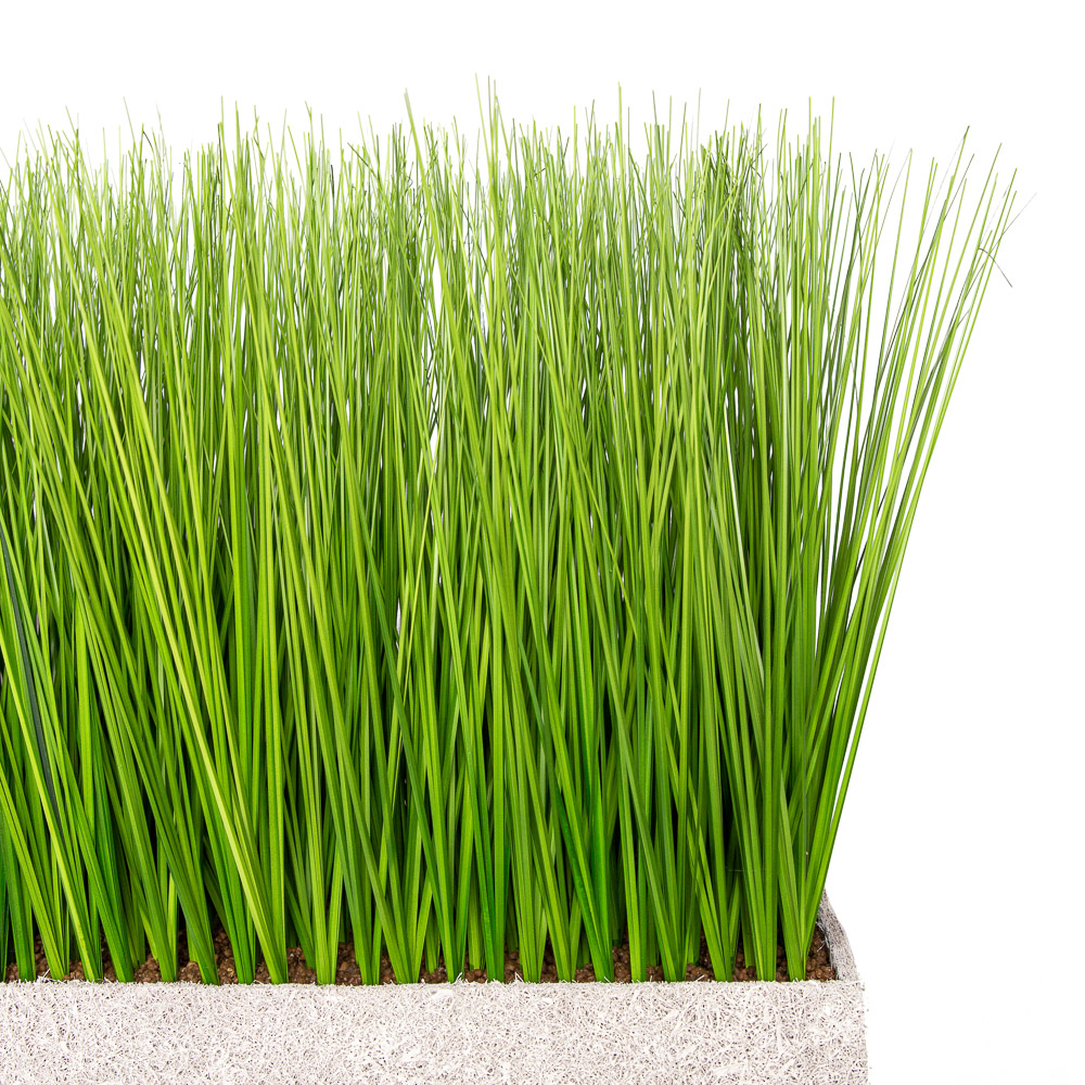 Т008-101(З) Осока h-42см в кокосовом боксе(128*24*_2