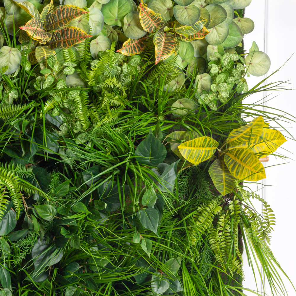 ФТС168(F) Фитостена, за 1кв.м_1