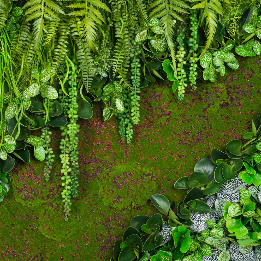 Фитокартина 01 с мшистой дорожкой 100xh123_2