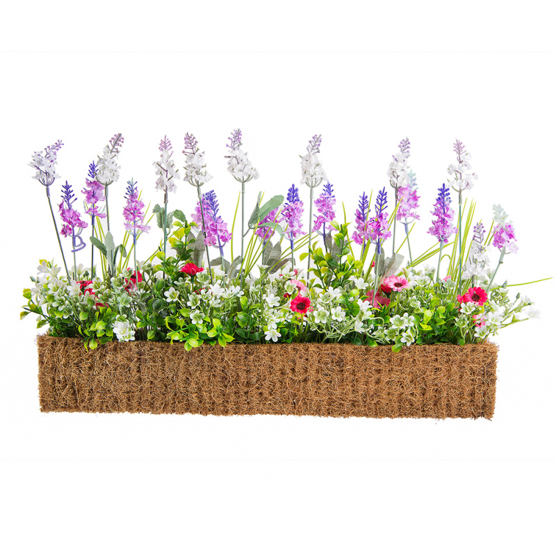 Б007-2/1 Бордюр Лаванда h17 см малиновая в кокосовом боксе 50*7*h-8 (малинов.)_1