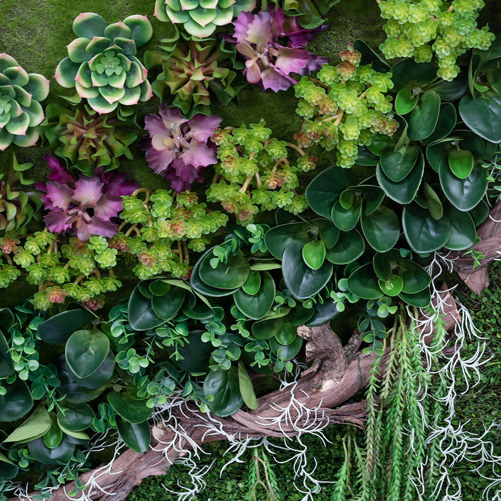 Фитостена 85 