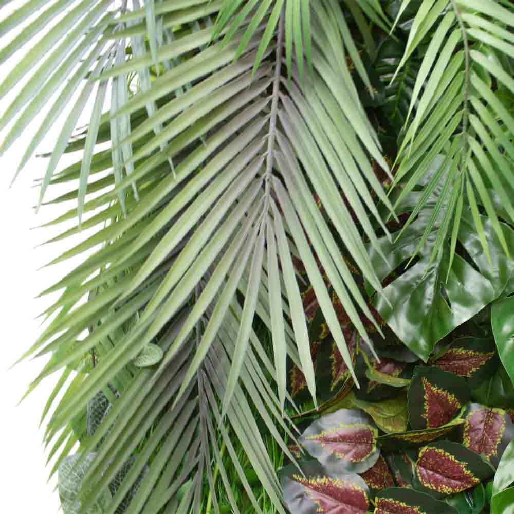 Фитостена 61_5