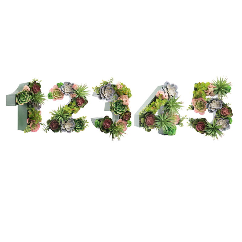 Логотип 1,2,3,4,5 с суккулентами (143*h27см_1