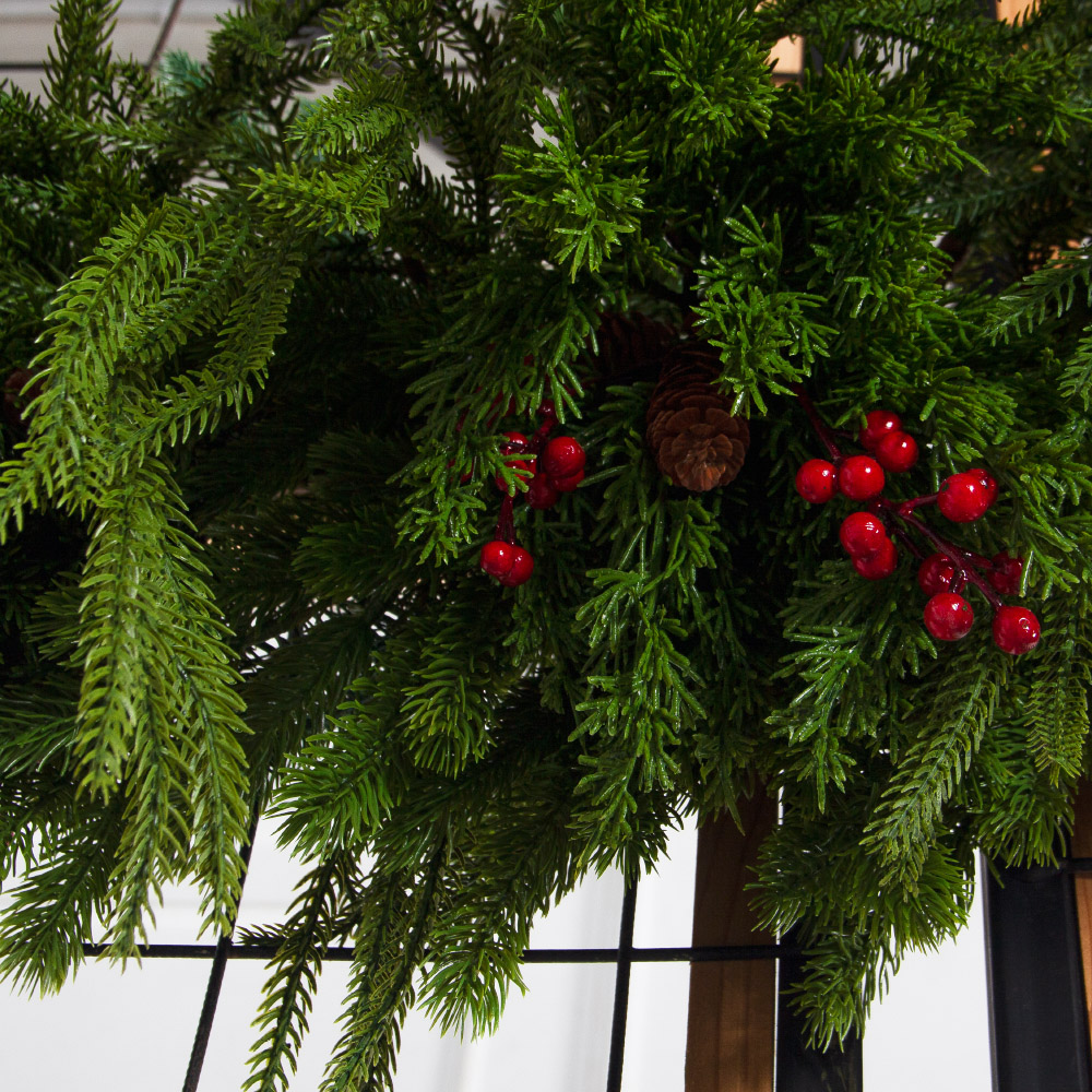 Л197(з)(F) Лиана хвойная L5,5м_3