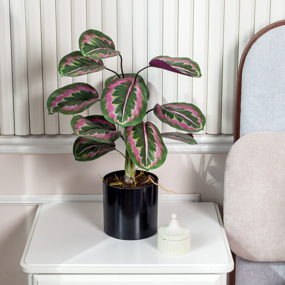 ЦС214(F) Калатея искусственная зелёно-фиолетовая_1