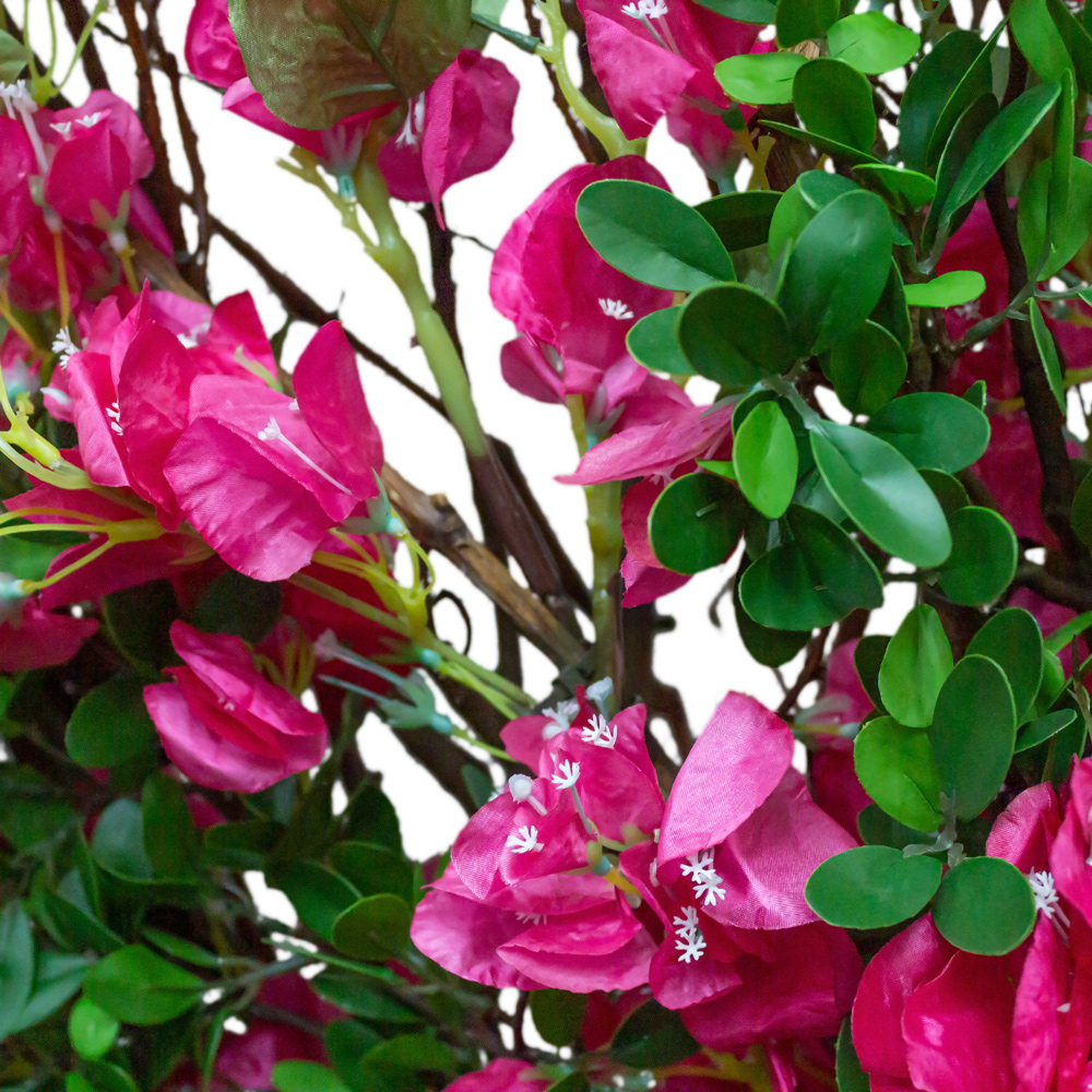 250Пр/РН/434(з.) Бугенвилле́я искусственная, h250см_2